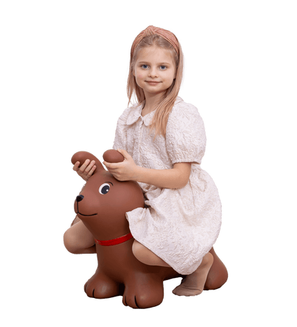 My First JUMPY – Brown Dog