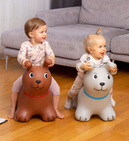My First JUMPY – Brown Dog