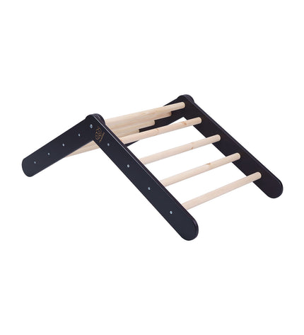 Ladder with a Slide-Climbing Wall - Black