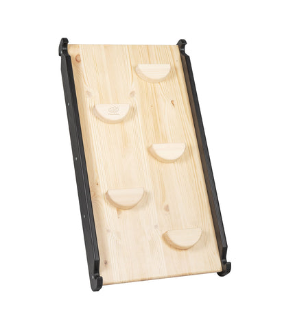 Ladder with a Slide-Climbing Wall - Black
