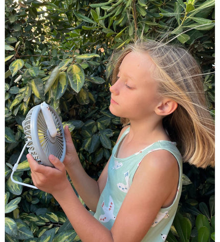 Little Bear Fan Lamp - Grey