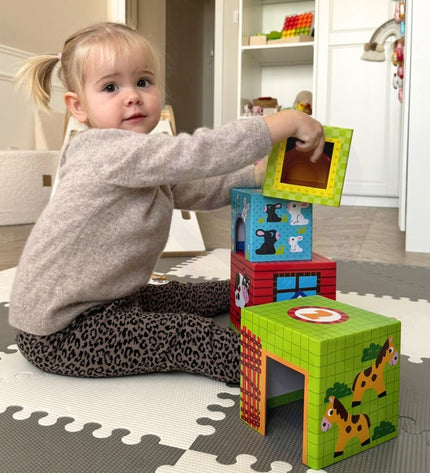 Farm in Boxes Cube Puzzle